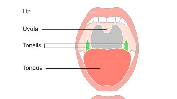 سرطان زبان چیست؟❤️ علائم + درمان