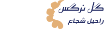 سالن زیبایی گل نرگس راحیل شجاع