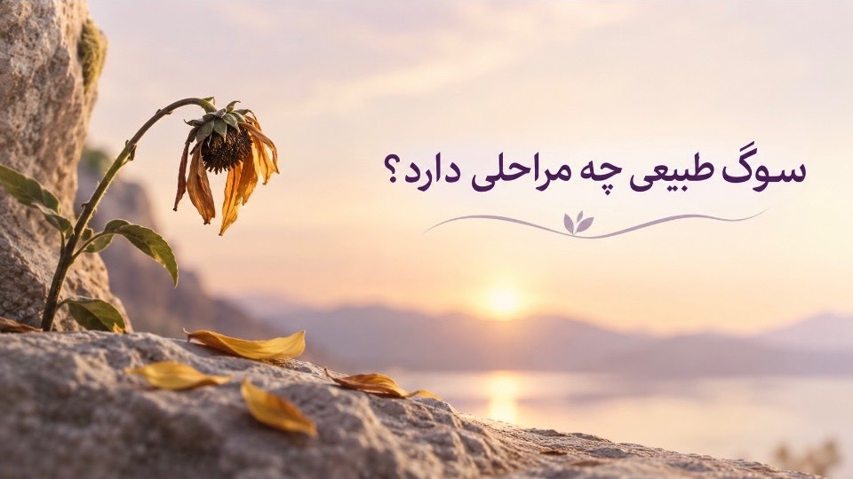 سوگ طبیعی چه مراحلی دارد؟